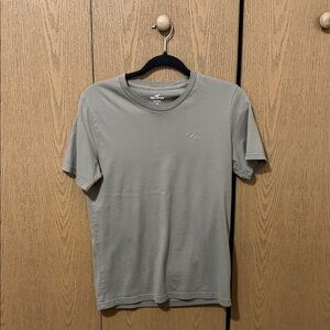 Hollister Men's Short Sleeve Tee in Gray
